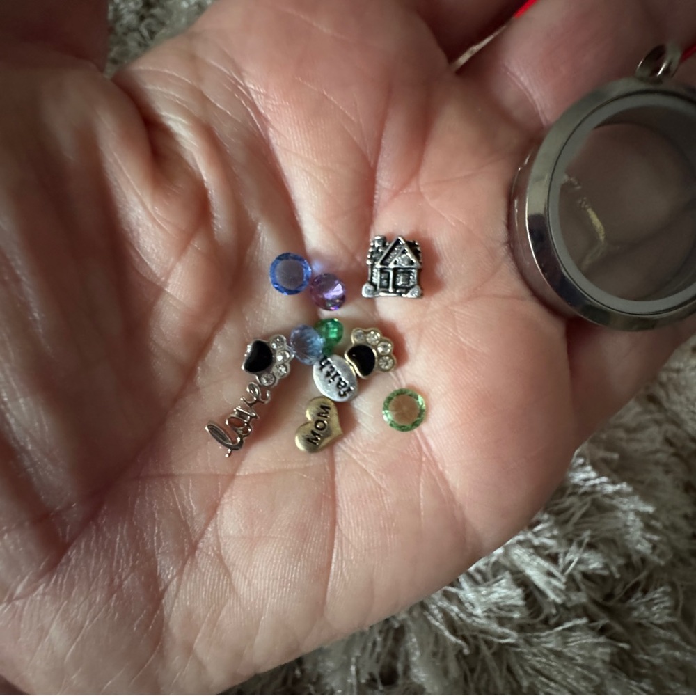 Assorted oragami owl pendant  and charms